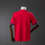 Norway 25-26 | Home | World Cup